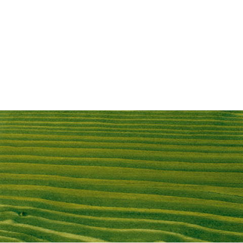 Zielony