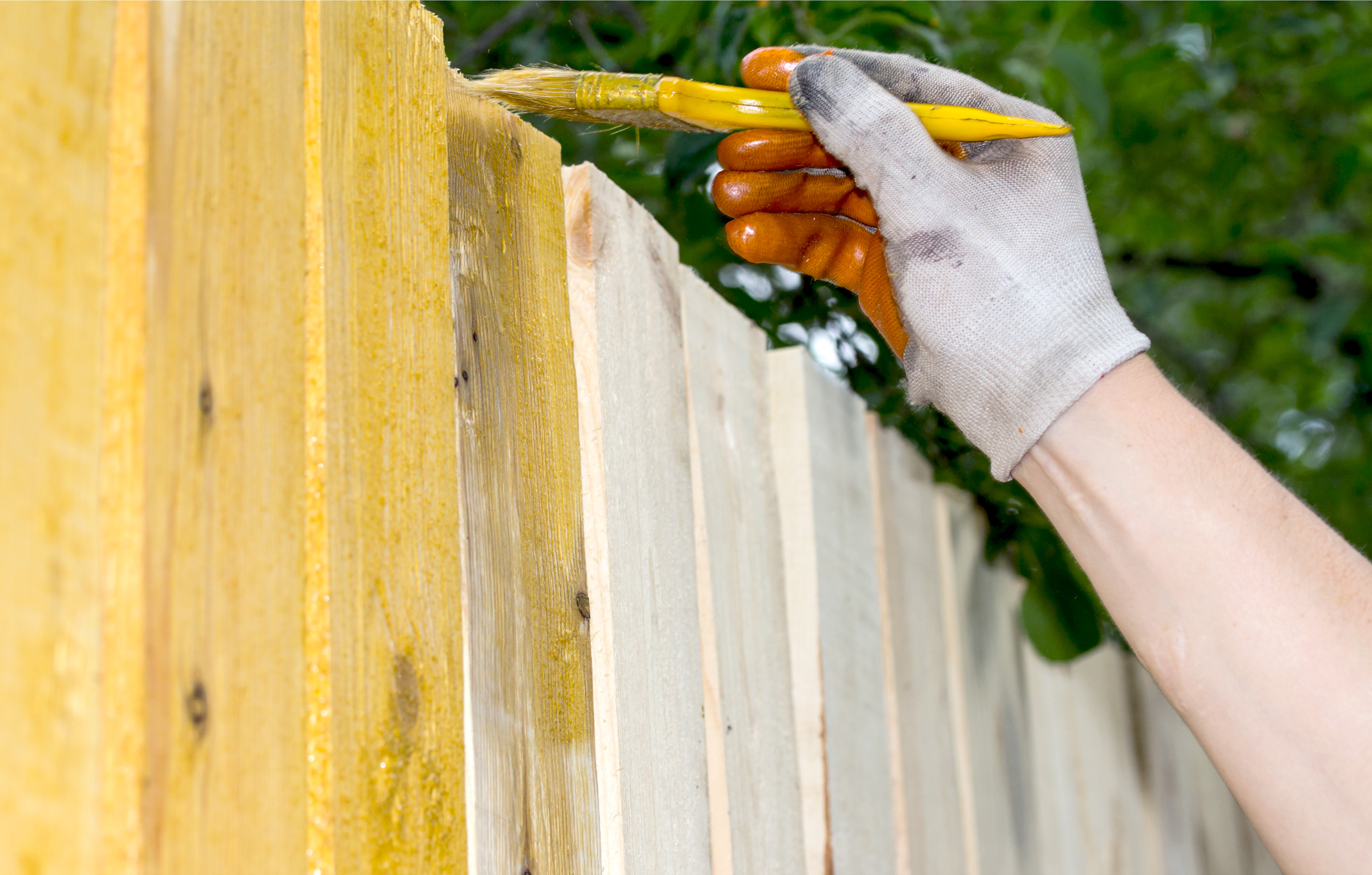 Jakie drewno na ogrodzenie wybrać i czym pomalować płot?